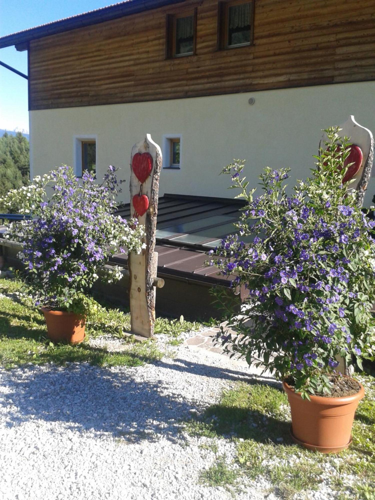 Pension Marchnerhof Terento Εξωτερικό φωτογραφία